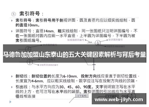 马德鲁加加盟山东泰山的五大关键因素解析与背后考量