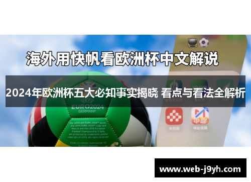 2024年欧洲杯五大必知事实揭晓 看点与看法全解析